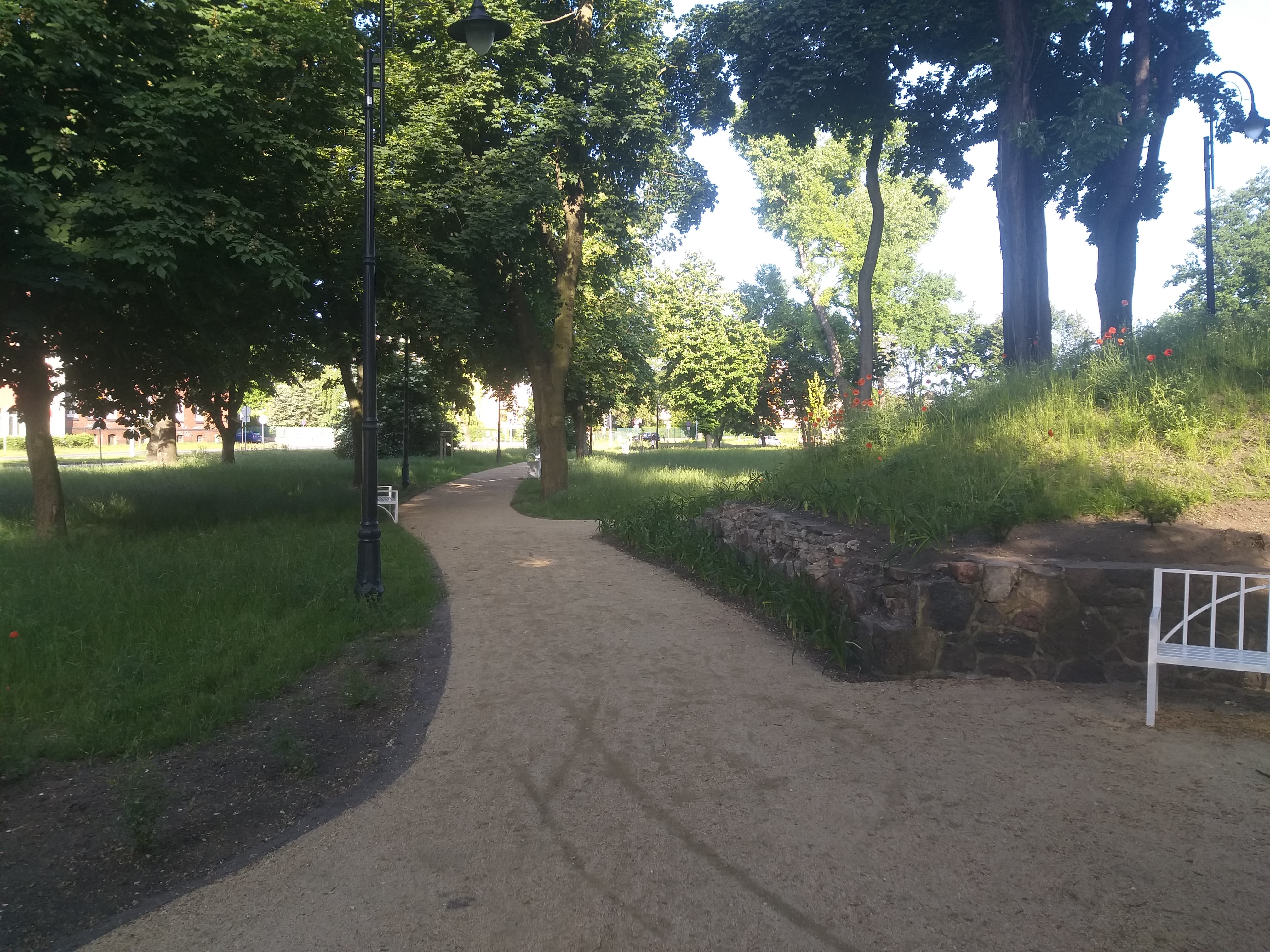 Park przypałacowy w Żarach